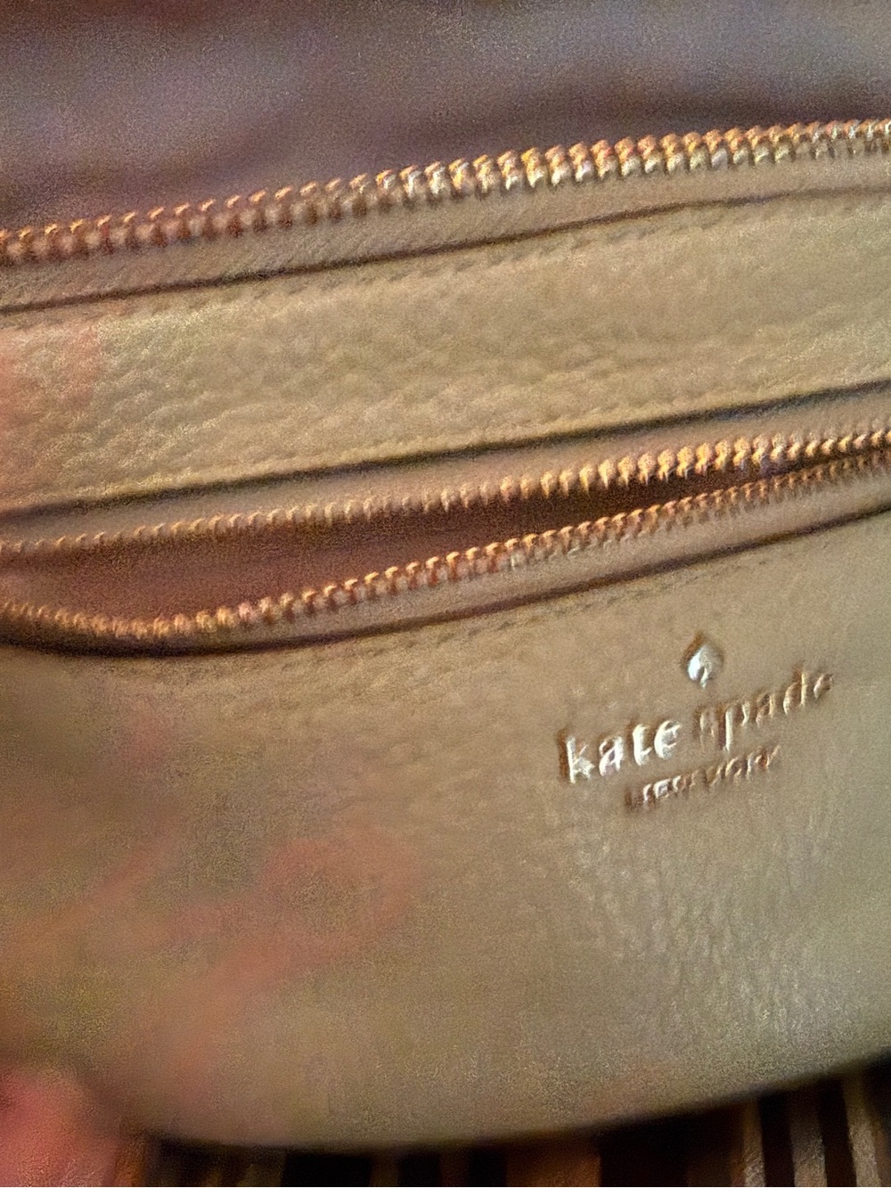 kate spade Mint Leather Crossbody Belt Bag with Gold Hardware - Picture 3 of 5